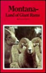 Montana Land Of Giant Rams - Duncan Gilchrist