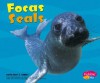 Focas/Seals - Carol K. Lindeen, Martin Luis Guzman Ferrer