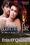 The Wakening Fire [The Dawn of Ireland 2] (Bookstrand Publishing Romance) - Erin O'Quinn