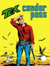Tex n. 134: Condor Pass - Gianluigi Bonelli, Guglielmo Letteri, Aurelio Galleppini