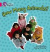 How Many Animals - Lee Newman