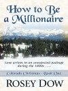 How to Be a Millionaire: Love Comes in an Unexpected Package During the 1880s - Rosey Dow