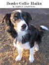 Border Collie Haiku - Angelo Dirks, Leland Dirks