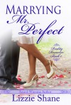 Marrying Mister Perfect (Reality Romance Book 1) - Lizzie Shane