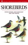 Shorebirds - John Marchant, Peter Hayman