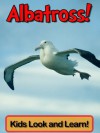 Albatross! Learn About Albatross and Enjoy Colorful Pictures - Look and Learn! (50+ Photos of Albatross) - Becky Wolff