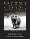 Second Chances: More Tales of Found Dogs - Elise Lufkin, Jamie Lee Curtis, Diana Walker