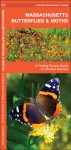 Massachusetts Butterflies & Moths: A Folding Pocket Guide to Familiar Species - James Kavanagh