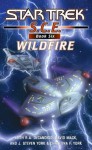 Wildfire (Star Trek: SCE) - David Mack, Keith R.A. DeCandido