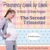 Pregnancy Books For First Time Moms: The Second Trimester Book - Babette Lansing