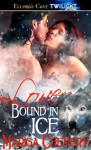 Love Bound in Ice - Marisa Chenery