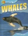 Whales - Sally Morgan