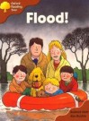 Flood - Roderick Hunt, Alex Brychta