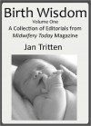 Birth Wisdom, Volume One A Collection of Editorials from Midwifery Today Magazine - Midwifery Today