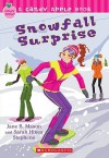 Snowfall Surprise - Jane B. Mason, Sarah Hines Stephens