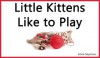 Little Kittens Like To Play (A Children's Picture Book) - Anne Seymour