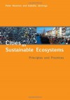 Cities as Sustainable Ecosystems: Principles and Practices - Peter Newman, Isabella Jennings