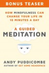 How Mindfulness Can Change Your Life in 10 Minutes a Day: A Guided Meditation - Andy Puddicombe