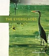 The Everglades - Sara Louise Kras