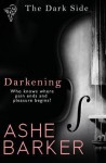 The Dark Side: Darkening - Ashe Barker