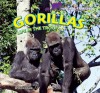 Gorillas: Life in the Troop - Willow Clark