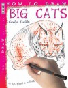 How To Draw Big Cats (You Can Draw Anything) - David Stewart