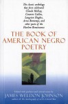 The Book of American Negro Poetry: Revised Edition - James Weldon Johnson