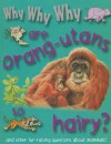 Why Why Why Are Orangutans So Hairy? - Mason Crest Publishers