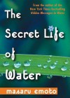 The Secret Life Of Water - Masaru Emoto