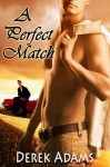 A Perfect Match - Derek Adams