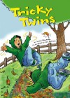 Tricky Twins - Susan Blackaby