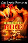 Brotherhood of Fire - Elizabeth Moore