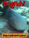 Dogfish! Learn About Dogfish and Enjoy Colorful Pictures - Look and Learn! (50+ Photos of Dogfish) - Becky Wolff