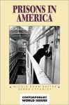 Prisons In America - Nicole Hahn Rafter, Debra Stanley, Debra L. Stanley