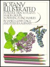 Botany Illustrated: Introduction To Plants, Major Groups, Flowering Plant Families - Janice Glimn-Lacy, Lacy J. Glimn