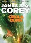 Cibola Burn - James S.A. Corey