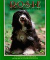 Rosie: A Visiting Dog's Story - Stephanie Calmenson, Justin Sutcliffe