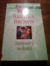 Meandry miłości - Sandra Brown