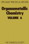 Organometallic Chemistry, Volume 6 - Edward W. Abel, A.J. Gordon, Royal Society of Chemistry