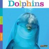 Seedlings: Dolphins - Kate Riggs