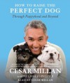 How to Raise the Perfect Dog: Through Puppyhood and Beyond (Audio) - Melissa Jo Peltier, Cesar Millan