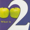 What Is Two? - Molly Carroll