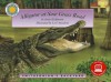 Alligator at Saw Grass Road [With eBook] - Janet Halfmann, Lori Anzalone