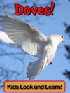 Doves! Learn About Doves and Enjoy Colorful Pictures - Look and Learn! (50+ Photos of Doves) [Kindle Edition] - Becky Wolff