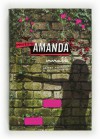 Invisible (Proyecto Amanda, #1) - Stella Lennon