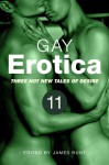 Gay Erotica, Volume 11 - James Hunt, C.Paulssen, Landon Dixon, Julian Benedict