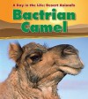 Bactrian Camel - Anita Ganeri