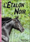 L'étalon noir (L'étalon noir, #1) - Walter Farley