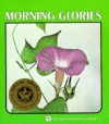 Morning Glories - Sylvia A. Johnson