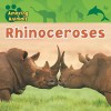 Rhinoceroses - Justine Ciovacco